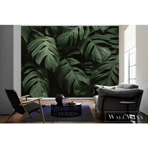 AS CREATION DesignWalls 2 DD123485 sötét filodendron mintás fotografikus digitális panel