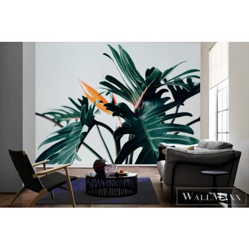 AS CREATION DesignWalls 2 DD123515 zöld levél mintás fotografikus digitális panel
