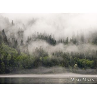   AS CREATION DesignWalls 2 DD123522 barna köd-világ mintás fotografikus digitális panel