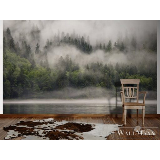 AS CREATION DesignWalls 2 DD123522 barna köd-világ mintás fotografikus digitális panel