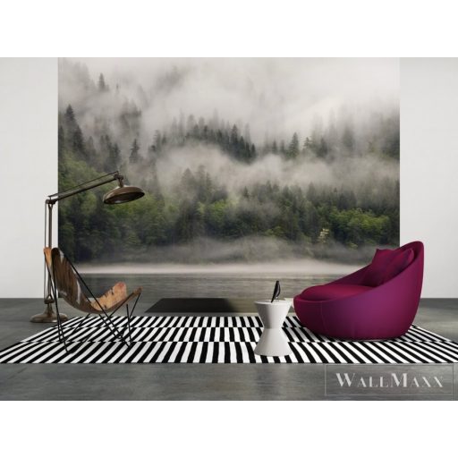 AS CREATION DesignWalls 2 DD123522 barna köd-világ mintás fotografikus digitális panel