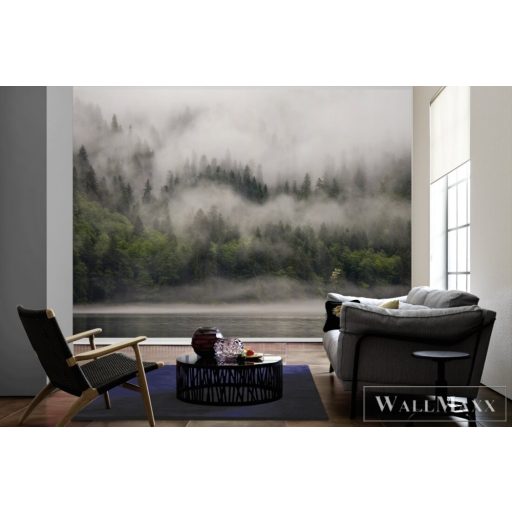 AS CREATION DesignWalls 2 DD123522 barna köd-világ mintás fotografikus digitális panel