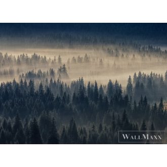   AS CREATION DesignWalls 2 DD123524 kék fenyves grafikus digitális panel