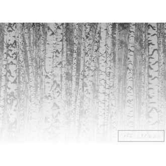   AS CREATION DesignWalls 2 DD123526 fehér nyírfa mintás grafikus digitális panel