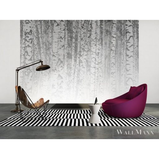 AS CREATION DesignWalls 2 DD123526 fehér nyírfa mintás grafikus digitális panel