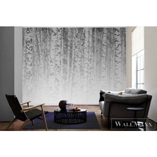 AS CREATION DesignWalls 2 DD123526 fehér nyírfa mintás grafikus digitális panel