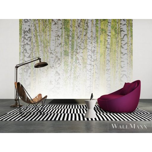 AS CREATION DesignWalls 2 DD123529 sárga nyírfa mintás grafikus digitális panel