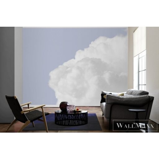 AS CREATION DesignWalls 2 DD123531 kék felhő mintás fotografikus digitális panel