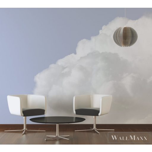 AS CREATION DesignWalls 2 DD123531 kék felhő mintás fotografikus digitális panel