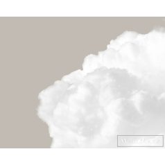   AS CREATION DesignWalls 2 DD123533 bézs felhő mintás fotografikus digitális panel