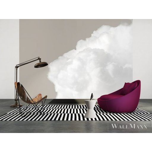 AS CREATION DesignWalls 2 DD123533 bézs felhő mintás fotografikus digitális panel