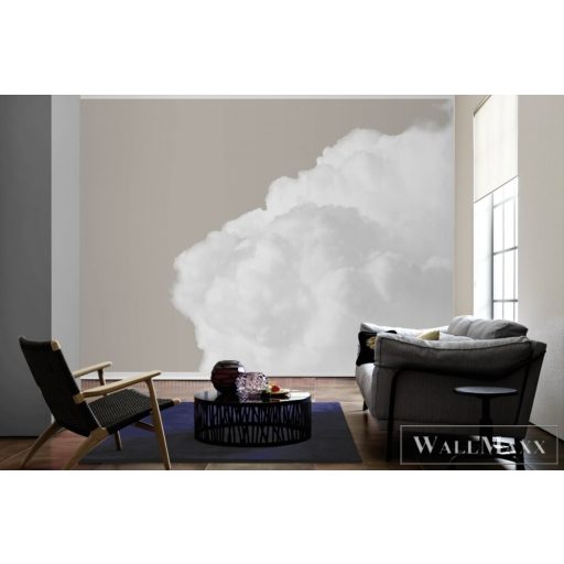 AS CREATION DesignWalls 2 DD123533 bézs felhő mintás fotografikus digitális panel