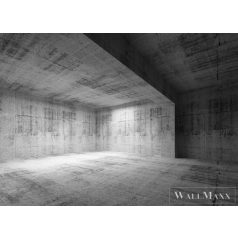   AS CREATION DesignWalls 2 DD123548 szürke beton mintás fotografikus digitális panel