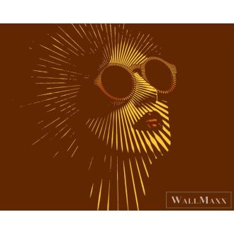   AS CREATION DesignWalls 2 DD123568 arany díva mintás fotografikus digitális panel