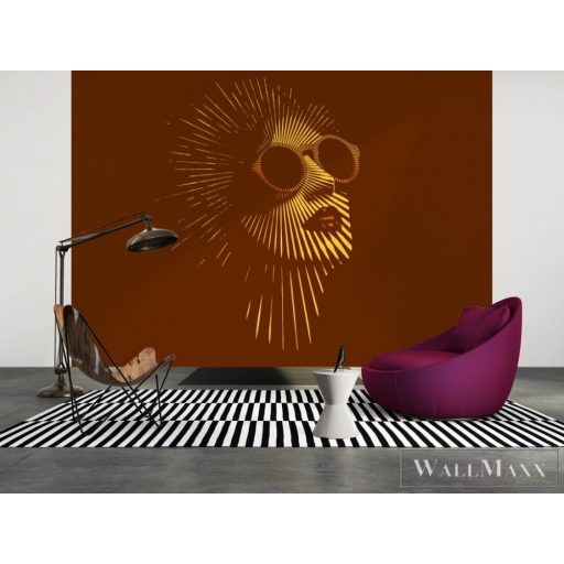 AS CREATION DesignWalls 2 DD123568 arany díva mintás fotografikus digitális panel