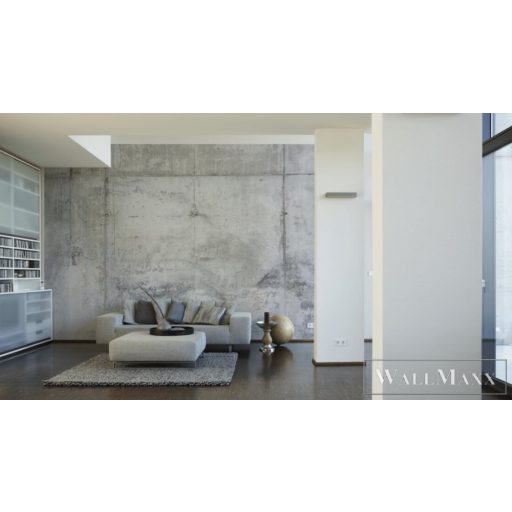 AS CREATION DesignWalls 2 DD123631 szürke beton mintás fotografikus digitális panel