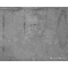   AS CREATION DesignWalls 2 DD123633 szürke beton mintás fotografikus digitális panel