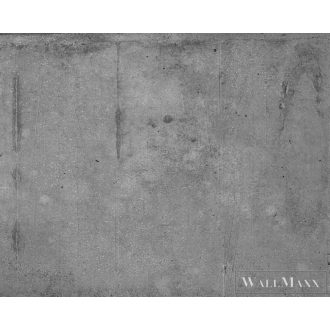   AS CREATION DesignWalls 2 DD123633 szürke beton mintás fotografikus digitális panel