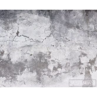   AS CREATION DesignWalls 2 DD123637 szürke beton mintás fotografikus digitális panel