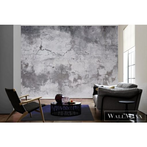 AS CREATION DesignWalls 2 DD123637 szürke beton mintás fotografikus digitális panel