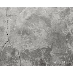   AS CREATION DesignWalls 2 DD123639 szürke beton mintás fotografikus digitális panel