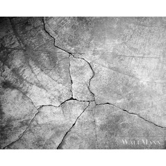   AS CREATION DesignWalls 2 DD123641 szürke beton mintás fotografikus digitális panel
