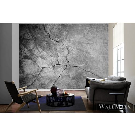 AS CREATION DesignWalls 2 DD123641 szürke beton mintás fotografikus digitális panel