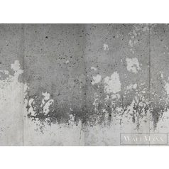   AS CREATION DesignWalls 2 DD123642 szürke beton mintás fotografikus digitális panel