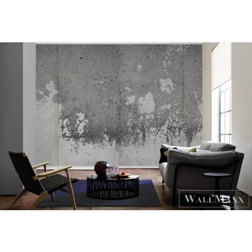 AS CREATION DesignWalls 2 DD123642 szürke beton mintás fotografikus digitális panel