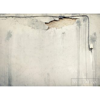   AS CREATION DesignWalls 2 DD123646 szürke beton mintás fotografikus digitális panel