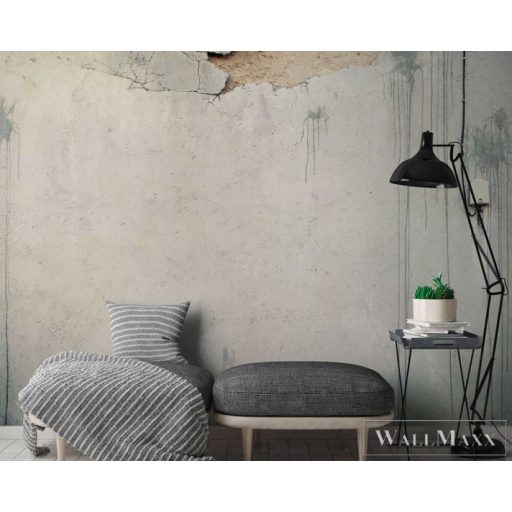 AS CREATION DesignWalls 2 DD123646 szürke beton mintás fotografikus digitális panel