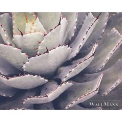   AS CREATION DesignWalls 2 DD123677 fehér kaktusz mintás fotografikus digitális panel