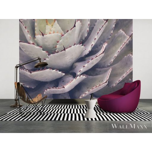 AS CREATION DesignWalls 2 DD123677 fehér kaktusz mintás fotografikus digitális panel