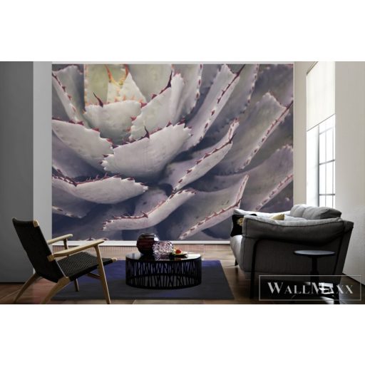 AS CREATION DesignWalls 2 DD123677 fehér kaktusz mintás fotografikus digitális panel
