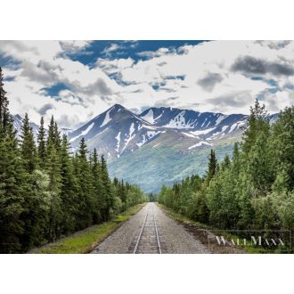   AS CREATION DesignWalls 2 DD123690 zöld alpesi mintás fotografikus digitális panel