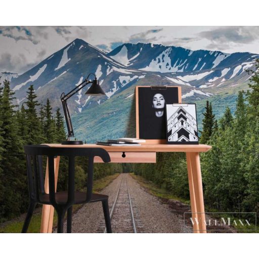 AS CREATION DesignWalls 2 DD123690 zöld alpesi mintás fotografikus digitális panel