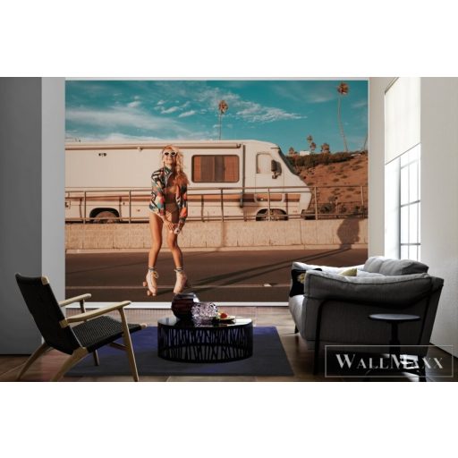 AS CREATION DesignWalls 2 DD123725 bézs kalifornia mintás fotografikus digitális panel