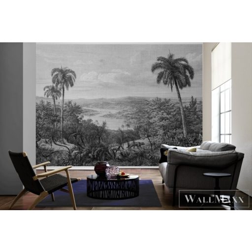 AS CREATION DesignWalls 2 DD123732 fekete-fehér kongó mintás grafikus digitális panel