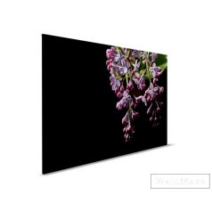   AS CREATION DesignWalls 2 DD123826 grafit virág mintás fotografikus digitális panel