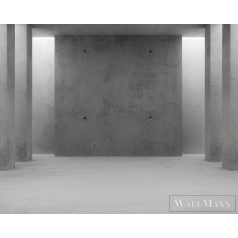   AS CREATION DesignWalls 2 DD123866 fekete-fehér beton mintás fotografikus digitális panel