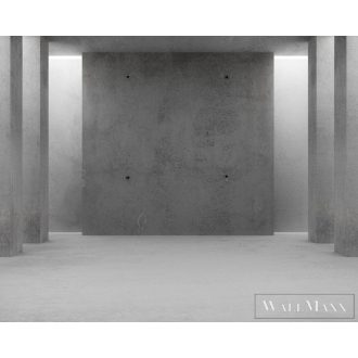   AS CREATION DesignWalls 2 DD123866 fekete-fehér beton mintás fotografikus digitális panel
