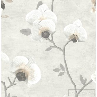 SketchTwenty Malibu 2023 ML01425 pezsgő színű tapéta