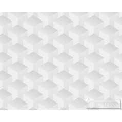   AS CREATION Profitex Premium P492740010 szürke tér-hatású grafikus tapéta