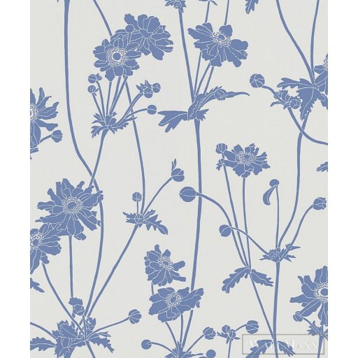 Sandberg Villa Harmonica 2017 Sophie